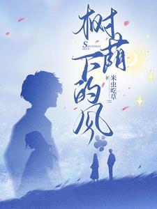 树荫下阳光