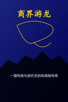 游龙游戏科技有限公司