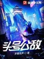 头号公敌解说