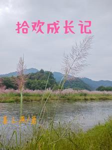 拾起的成长点滴作文600
