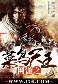 网游之菜鸟玩家