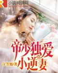 帝少独宠小甜心免费全文阅读