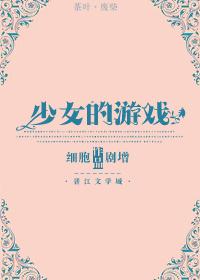 关于少女的游戏