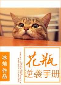 穿书花瓶逆袭女主之路