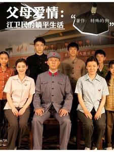 父母爱情第十七集完整版