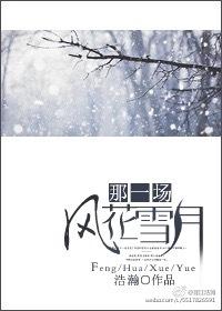 歌词那一场风花雪月的事叫什么歌