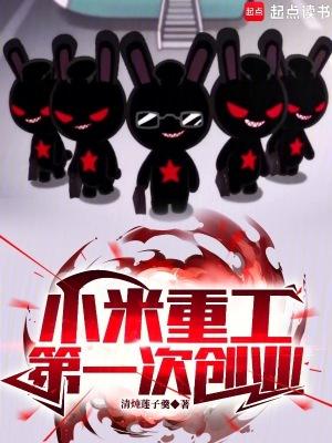 小米公司的重大事件