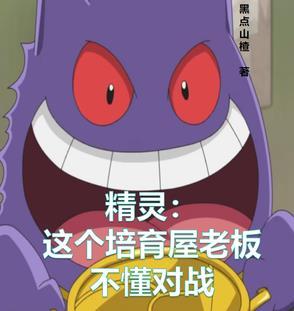 精灵培育训练家起点中文网
