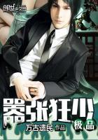 极品狂少介绍