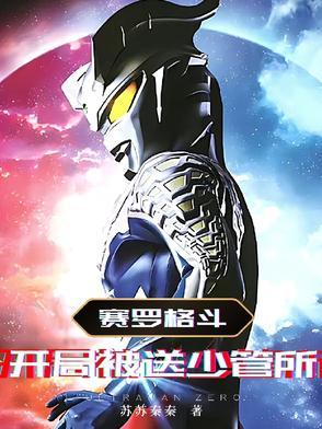 赛罗格斗动画片