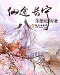 仙途长宁沉鹿免费阅读