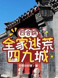 四合院全家逃荒四九城张丰