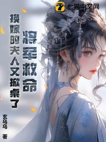 将军夫人改嫁j
