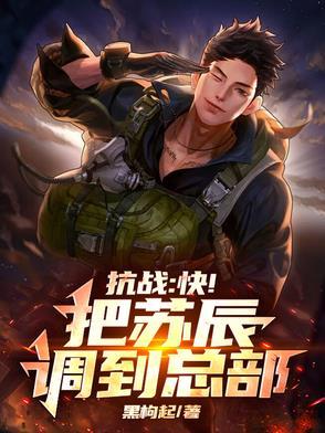 主角叫苏辰的系统流