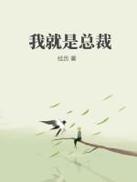 这就是总裁怎么玩