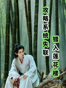 攻略系统文