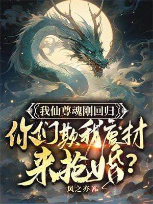 仙尊我从天上来阅读
