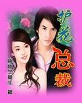 美女总裁的护花圣手