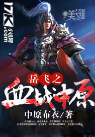 岳飞之血战中原xtx