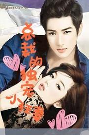 总裁的独宠小狂妻全文
