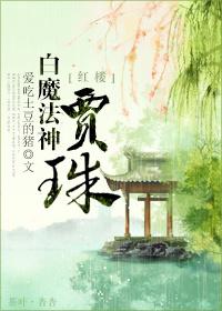 红楼之神笔贾赦txt