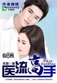 医流高手全文免费阅读
