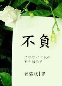 不负努力的唯美句子