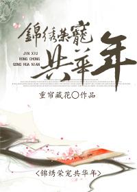 锦绣华年简介