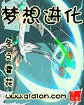 梦想进化加料