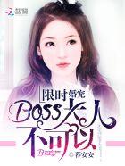 限时婚宠锦夜免费