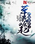 武道系统的