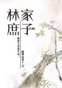 穿越红楼之林家庶长子