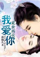 来生在说我爱你