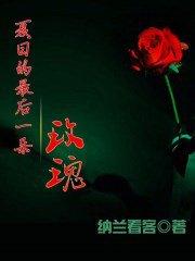 夏日最后一朵玫瑰歌词是什么意思