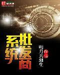 做批发怎么做销售系统