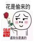 妖精生存指南