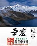 圣宠宠物美容培训学校地址