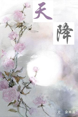 天降 txt
