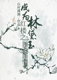 红楼之林黛玉同人文