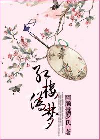 红楼梦假假真真
