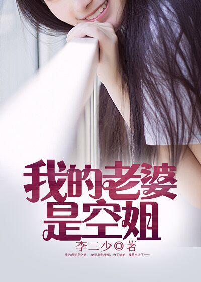 我的老婆是空姐剧情介绍