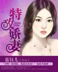 特攻王妃