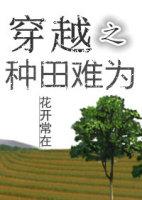 穿越之种田文推荐