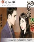 网剧总裁失忆后爱上女主