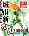 什么叫新农民