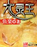 大灵王VIP