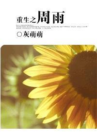 重生之周不器