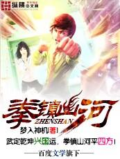拳镇山河电视剧免费播放