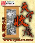 天下收藏收藏天下2007