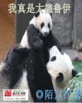 我真是大德鲁伊TXT